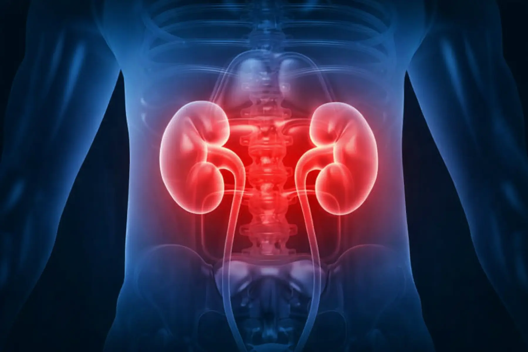 Urology and Nephrology department at Harsha Multi Speciality Hospital, Proddatur